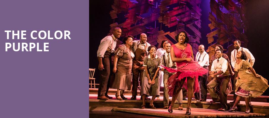 The Color Purple, The Playhouse on Rodney Square, Wilmington